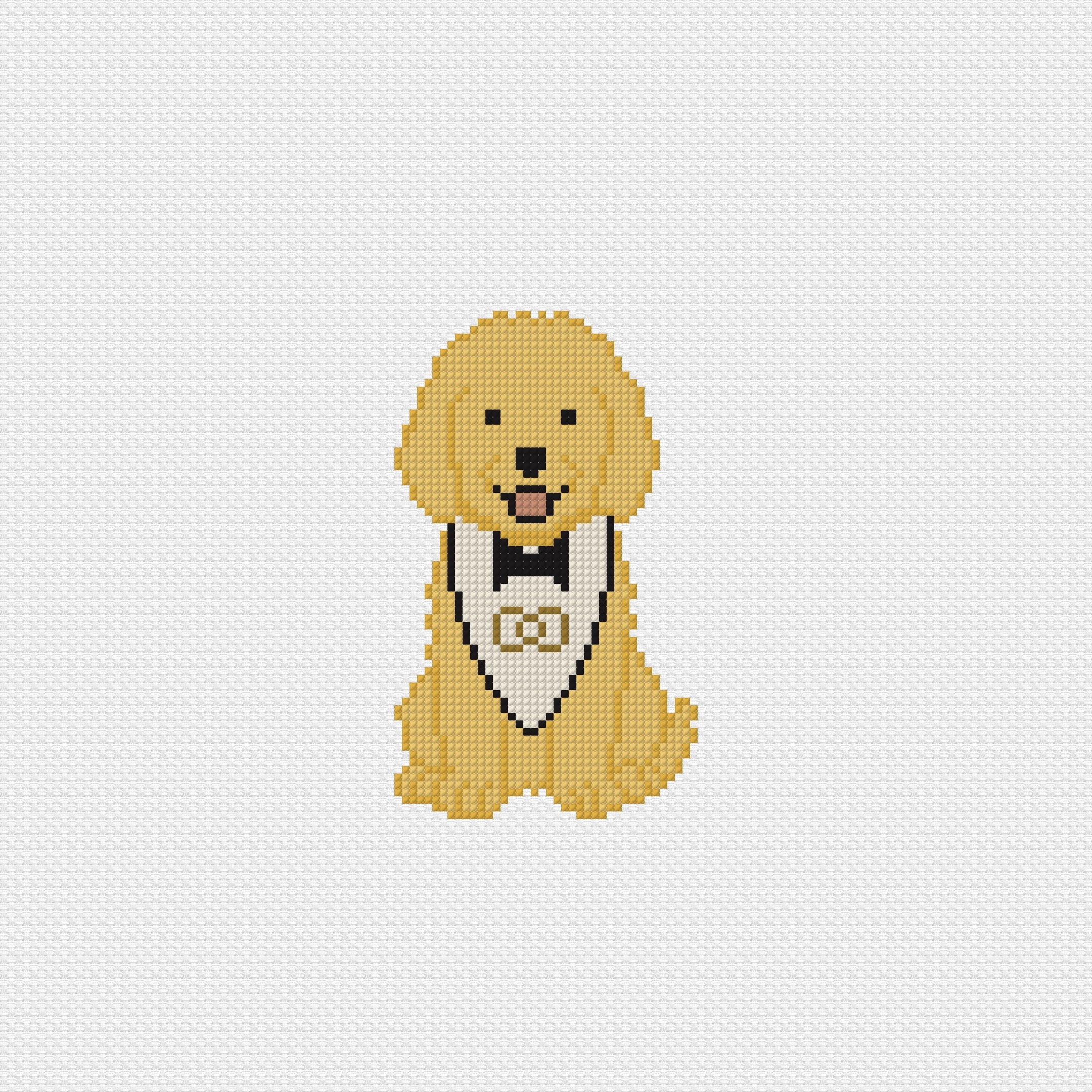 Ring Bearer: Goldendoodle