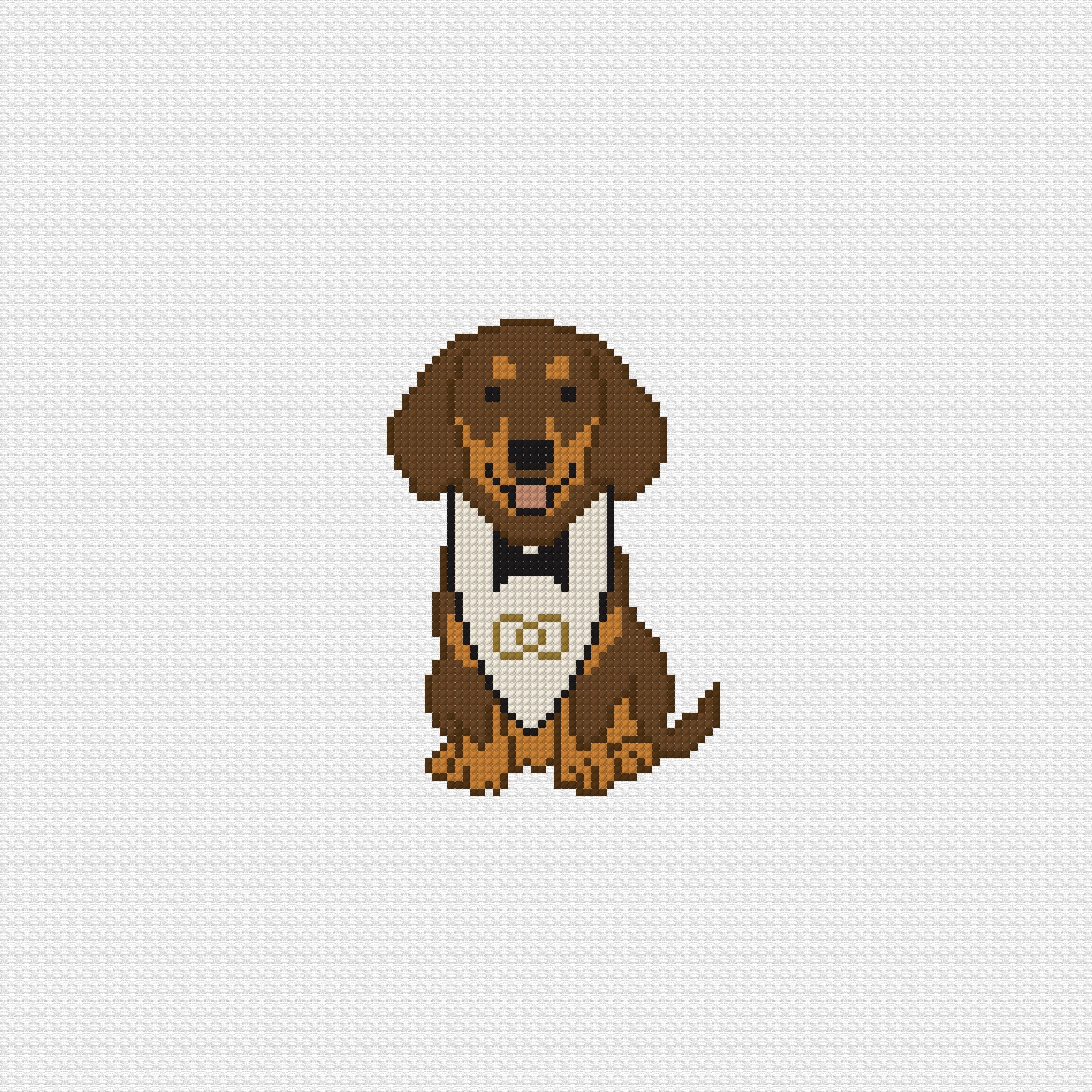 Ring Bearer: Dachshund